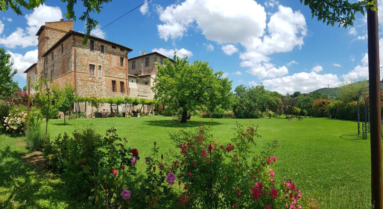 Agriturismo Abbazia Sette Frati A Casa Di Sara Pietrafitta  Dış mekan fotoğraf