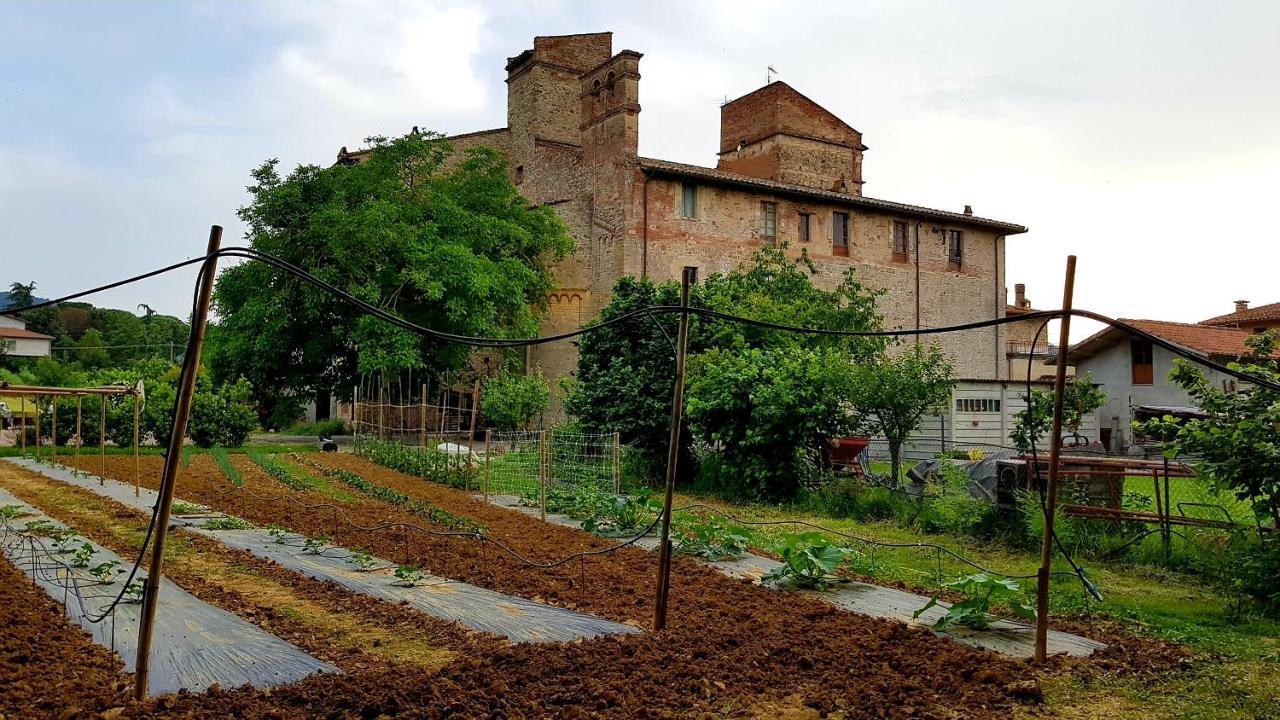 Agriturismo Abbazia Sette Frati A Casa Di Sara Pietrafitta  Dış mekan fotoğraf