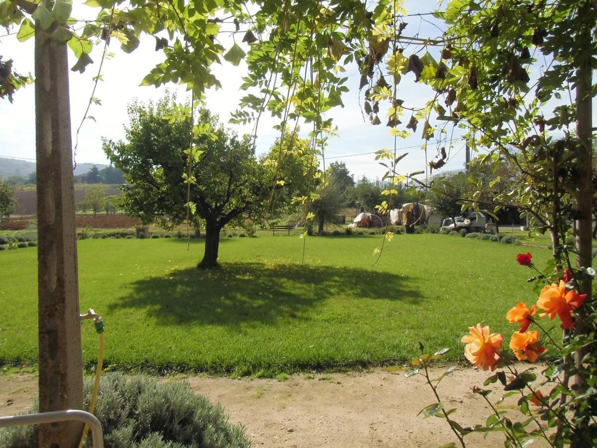 Agriturismo Abbazia Sette Frati A Casa Di Sara Pietrafitta  Dış mekan fotoğraf